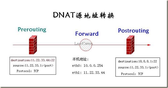 DNAT.jpg